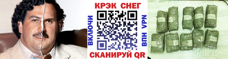 COCAIN Эквадор  Юрьев-Польский 
