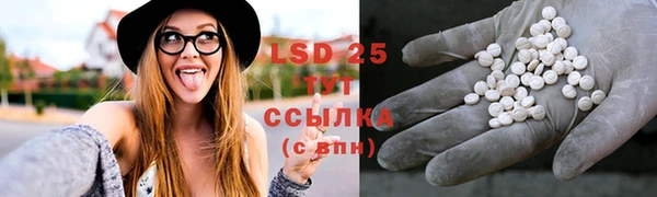 spice Новозыбков