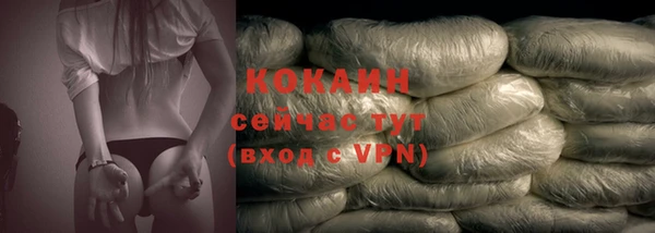 spice Новозыбков