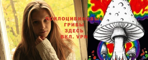 дурь Новодвинск