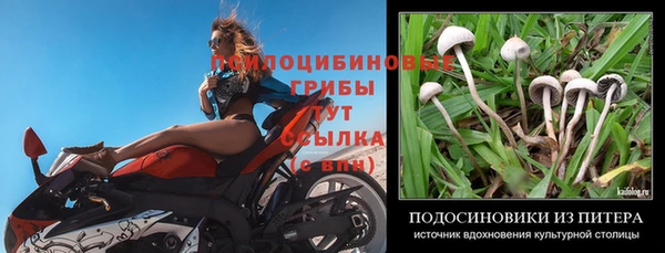 spice Новозыбков