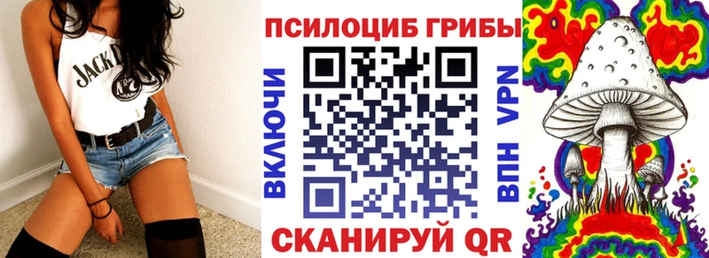 ссылка на мегу зеркало  Юрьев-Польский  Псилоцибиновые грибы GOLDEN TEACHER  маркетплейс состав  купить  